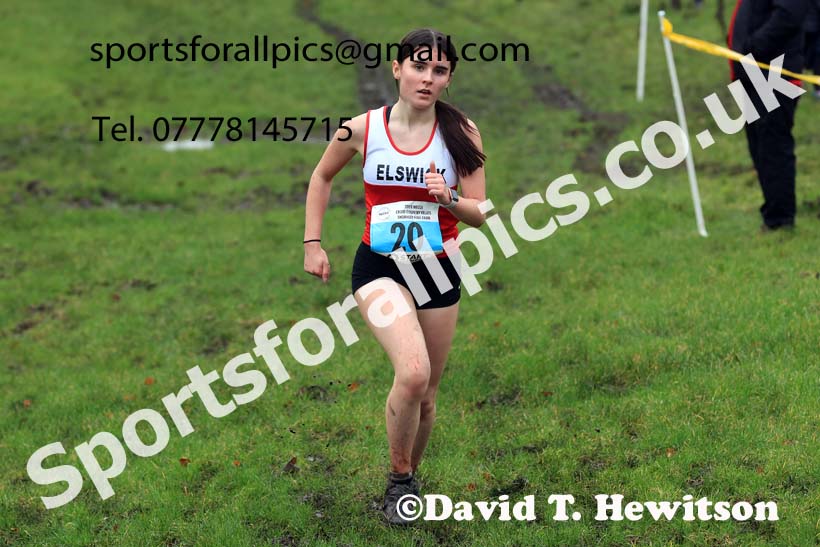 Girls under-15s 2023 NECAA Cross Country Relays, Thornley Hall Farm, Peterlee, County Durham. Photo: David T. Hewitson/Sports for All Pics